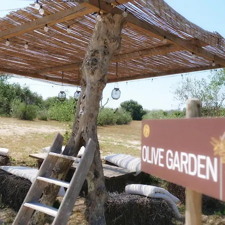 Tenuta Dorolivo Agri Relais בית חווה *